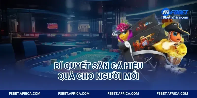 Bí quyết săn cá hiệu quả cho người mới