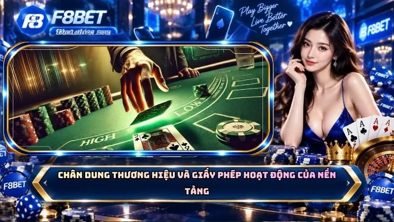 Chân dung thương hiệu và giấy phép hoạt động của nền tảng